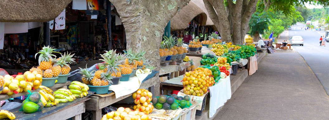 Exploring the Charm of St. Lucia: A Gateway to Natural Wonders